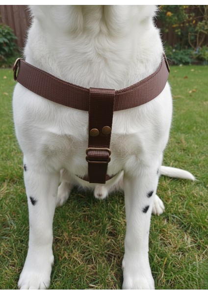Köpek Göğüs Tasması Minik, Küçük, Orta ve Büyük Irk Ayarlamalı Kolon Kordon Koyu Kahverengi indirimleri