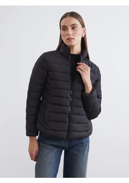 Lcw Eco Siyah Dik Yaka Kapitone Kadın Şişme Mont
