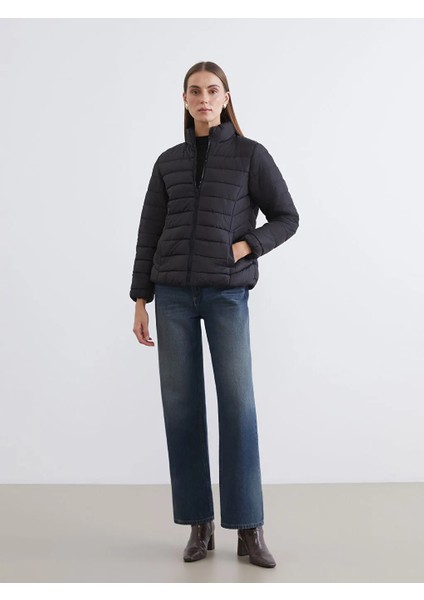 Lcw Eco Siyah Dik Yaka Kapitone Kadın Şişme Mont fiyatları