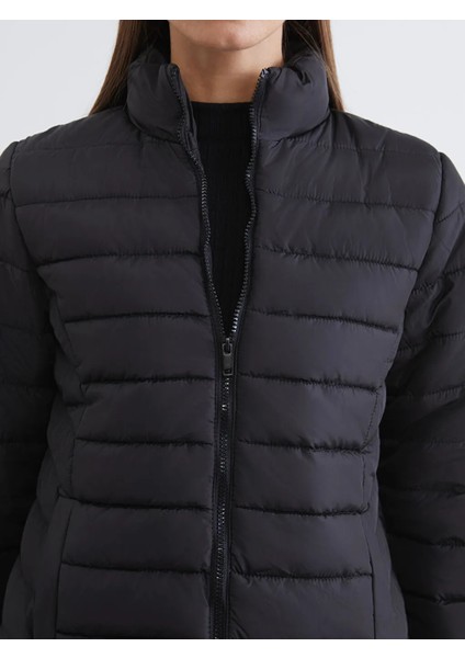 Lcw Eco Siyah Dik Yaka Kapitone Kadın Şişme Mont modelleri