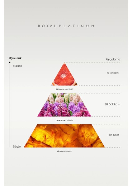 W132 Kadın Parfüm fiyatları