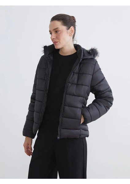 Lcw Eco Siyah Kapüşonlu Kadın Şişme Mont