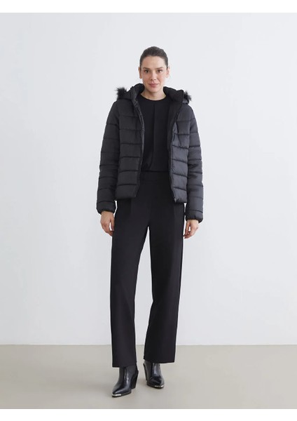 Lcw Eco Siyah Kapüşonlu Kadın Şişme Mont fiyatları