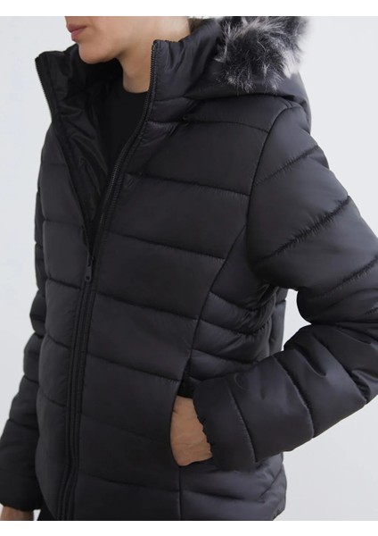 Lcw Eco Siyah Kapüşonlu Kadın Şişme Mont modelleri