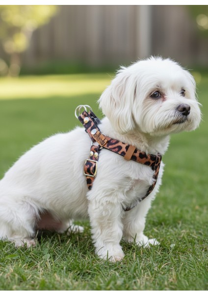 Köpek Göğüs Tasması Minik, Küçük Irk Ayarlamalı Kolon Kordon Leopar Desen