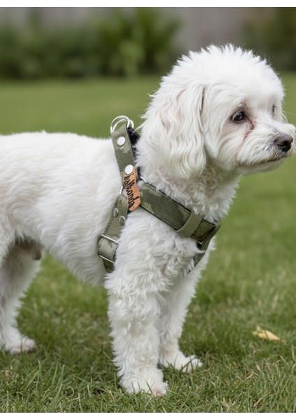 Köpek Göğüs Tasması Minik, Küçük Irk Ayarlamalı Kolon Kordon Kamuflaj