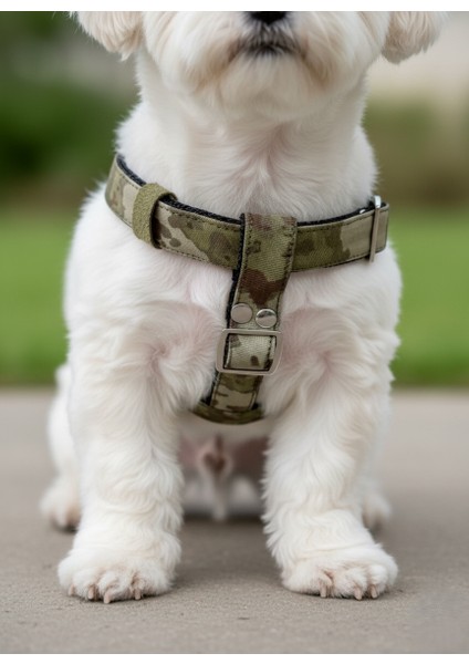 Köpek Göğüs Tasması Minik, Küçük Irk Ayarlamalı Kolon Kordon Kamuflaj modelleri