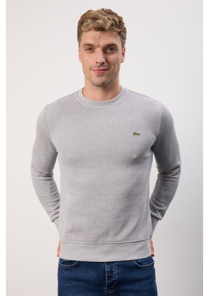 Bisiklet Yaka Gri Dar Kesim Erkek Triko Kazak fırsatları