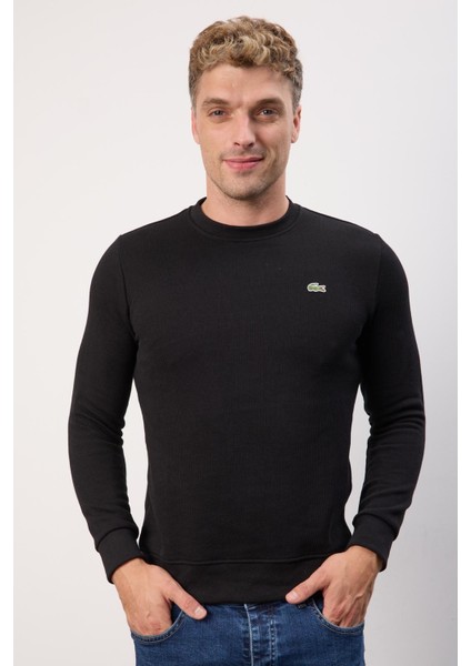 Bisiklet Yaka Dar Kesim Lacivert Erkek Triko fiyatları