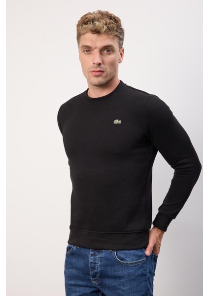 Bisiklet Yaka Dar Kesim Lacivert Erkek Triko fırsatları