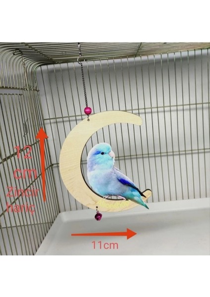 Aliceshop Zilli Salıncak