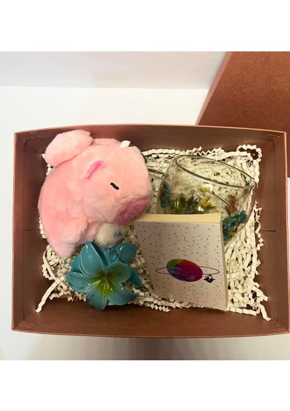 Kapibaralı Hediye Kutusu,doğum Günü Hediyesi,sevgiliye Özel Hediye