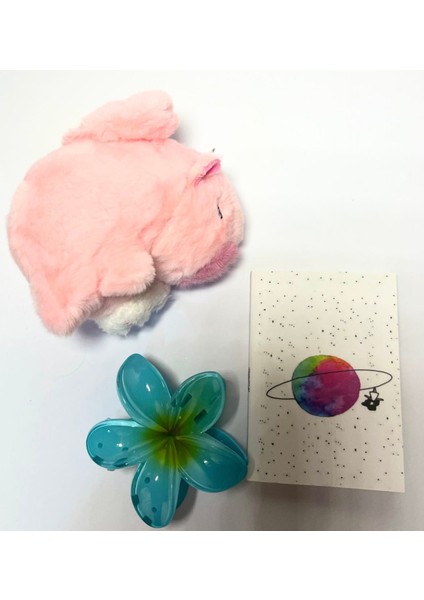 Kapibaralı Hediye Kutusu,doğum Günü Hediyesi,sevgiliye Özel Hediye fiyatları