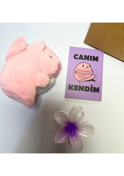 Kapibaralı Hediye Kutusu, Sevgiliye Özel ,doğum Günü Hediyesi fiyatları