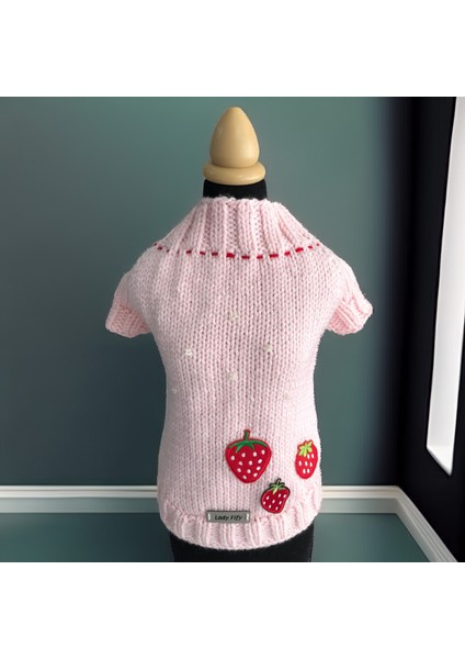 Kedi ve Köpek Için Çilekli Pembe Kazak fiyatları