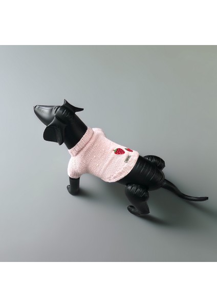 Kedi ve Köpek Için Çilekli Pembe Kazak modelleri