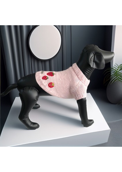 Kedi ve Köpek Için Çilekli Pembe Kazak indirimleri