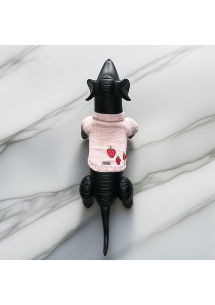 Kedi ve Köpek Için Çilekli Pembe Kazak