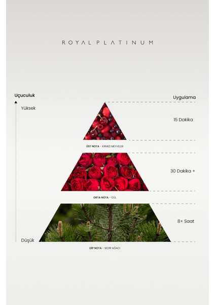 W133 Kadın Parfüm fiyatları