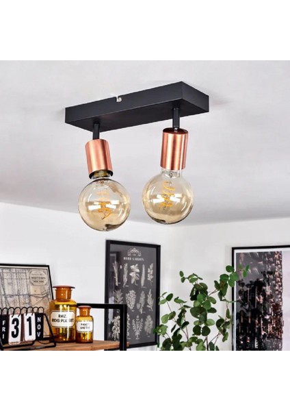 Riolıght Modern2 Siyah1 2XE27 Duylu Mafsallı Hareketli2 Başlık(Glop Ampul Hariç) Metal Spot Avize indirimleri