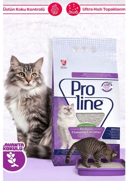 Lavanta Kokulu Topaklanan Bentonit Kedi Kumu 10 Lt