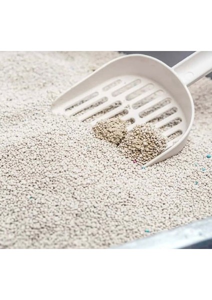 Lavanta Kokulu Topaklanan Bentonit Kedi Kumu 10 Lt fırsatları