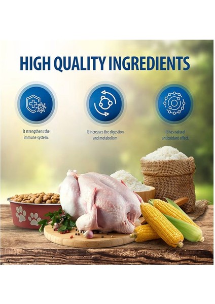 Plus Urinary Tavuklu Kuru Kedi Maması 1,5 kg indirimleri