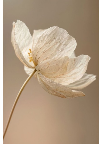 |soft|krem Buğday-Çiçek Kombini |çerçeveli Cam Tablo 3lü Dikey fiyatları