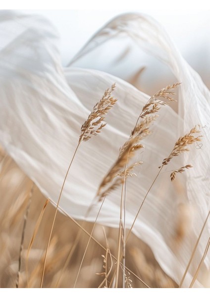 |soft|krem Buğday-Çiçek Kombini |çerçeveli Cam Tablo 3lü Dikey modelleri