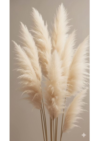 |soft|krem Pampas-Orkide Kombini |çerçeveli Cam Tablo 3lü Dikey modelleri