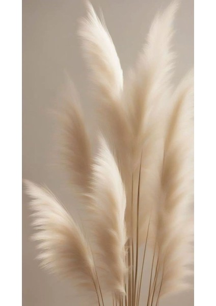 |soft|krem Renk Çiçekli Zarif Kombini |çerçeveli Cam Tablo 3lü Dikey modelleri