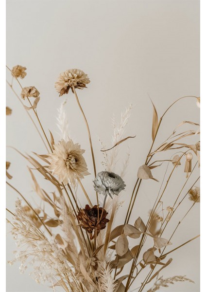 |soft|kuru Bitki Çiçekli Kombini |çerçeveli Cam Tablo 3lü Dikey fırsatları