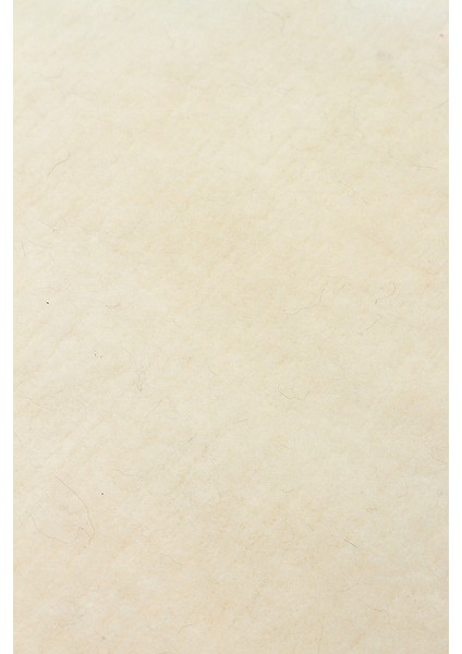 Letat Ivory, El Dokuma Teknikleri ile %100 Yeni Zelanda Yünü ile Üretilmiş Sade ve Modern Halı fırsatları