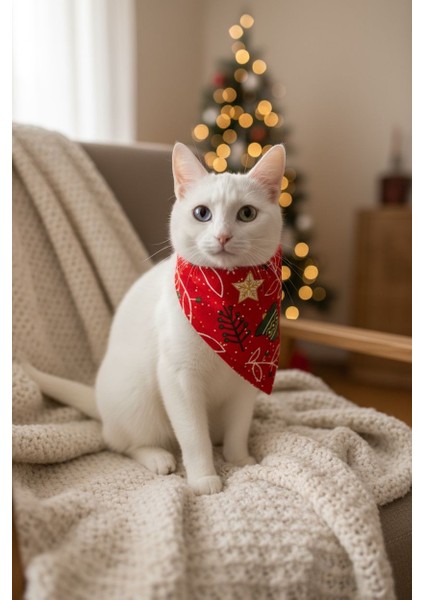 Biba Pet Yılbaşı Konsept Zilli Kedi Boyun Tasması-Kırmızı Çıkarılabilir Fular