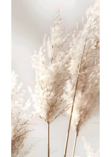 |soft| Krem Pampas Otu Kombini|çerçeveli Cam Tablo 2li Dikey modelleri