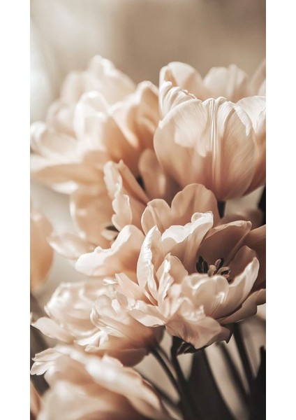 |soft| Kahve-Krem Tonlar Buğday-Çiçek Kombini |çerçeveli Cam Tablo 2li Dikey fiyatları