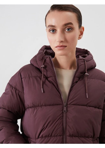 Lcwaıkıkı Classic Mürdüm Kapüşonlu Kadın Şişme Mont fırsatları