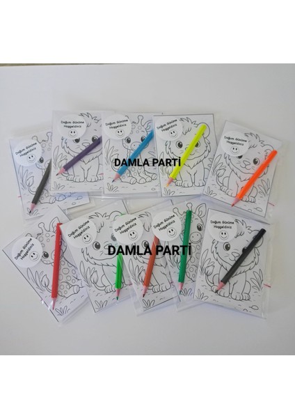 Safari Hediyelik Boyama 2li, 10 Adet, Safari Doğum Günü Parti Malzemeleri