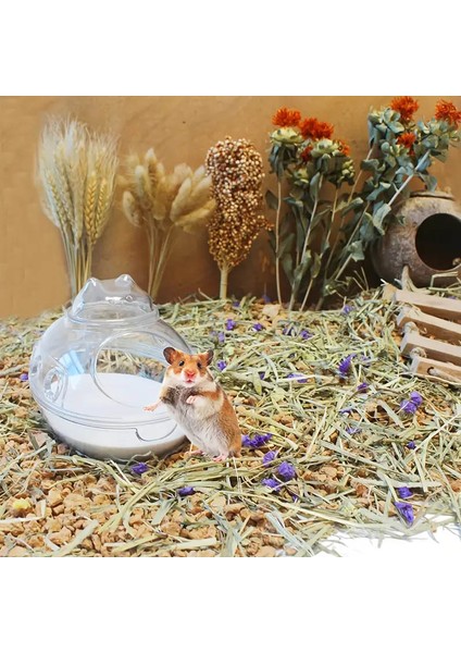 Hamster & Küçük Kemirgenler Için Tozu Azaltılmış Banyo Kumu - Doğal Kuvars, 100G fırsatları