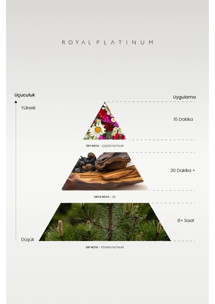 W271 Kadın Parfüm fiyatları