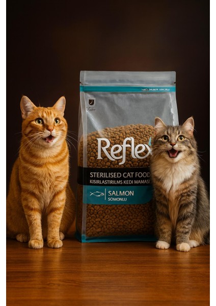 Somonlu Pirinçli Kısırlaşlaştırılmış Kedi Maması 1kg (Yeni 1 kg Zipli Paketler)