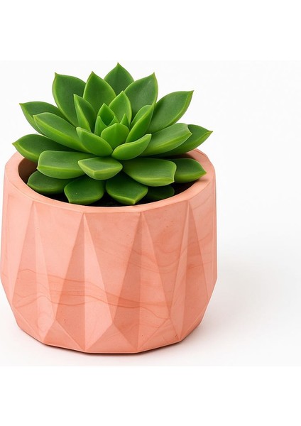Geometrik Sukulent Saksı