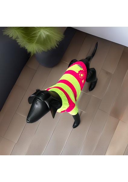 Kedi ve Köpek Için Neon Yeşil Pembe Hırka indirimleri