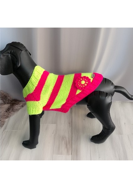 Kedi ve Köpek Için Neon Yeşil Pembe Hırka