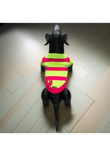 Kedi ve Köpek Için Neon Yeşil Pembe Hırka