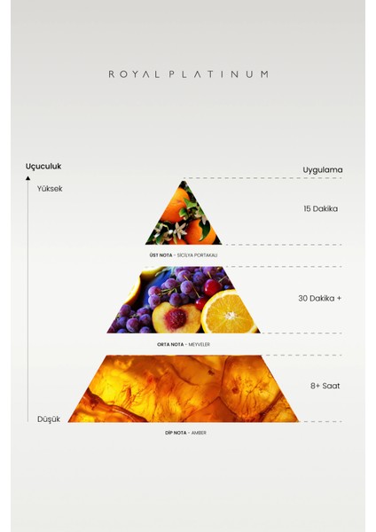 M575 Erkek Parfüm fiyatları