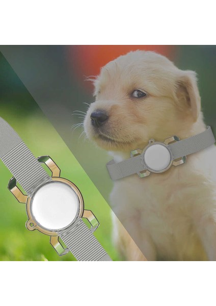 ​brvh Airtag 06 Uyumlu Silikon Anahtarlık-Renksiz fırsatları