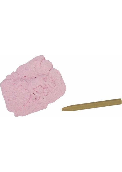 Bfs Karanlıkta Parlayan Unicorn Fosil Kazı Seti fiyatları