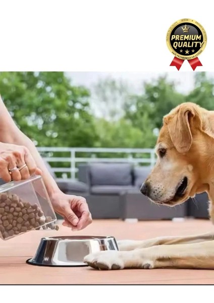 Premium Uzun Ömürlü Sağlam Kaymaz Kauçuk Taban Paslanmaz Çelik Metal Kedi Köpek Mama Su Kabı 34 cm fırsatları