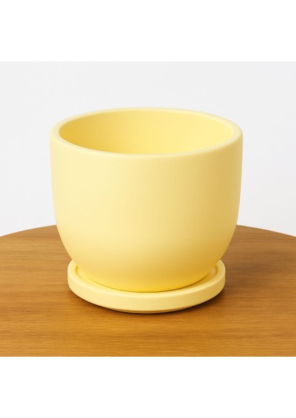 Oval Tabaklı Saksı